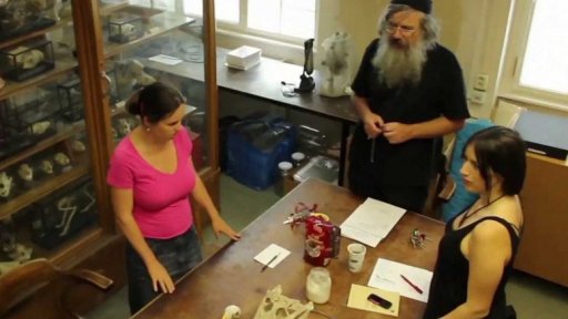 Prosil jsem ho o hodnověrný výklad toho všeho (r. Andran Abramjan, 29 min., 2012)