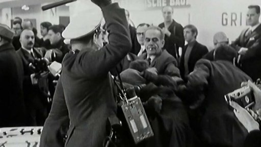 „Zelený týden“ v západním Berlíně skončil modřinami