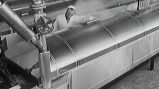 Holandská továrna na bramborové hranolky