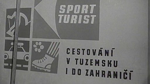 Co všechno dělá Triga Počernice