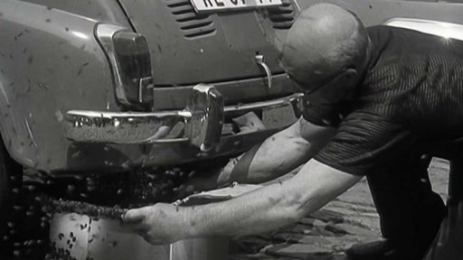 Včelí roj uprostřed města