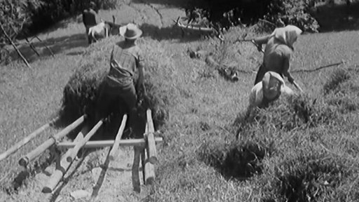 Vluky: speciální sáně na svoz sena