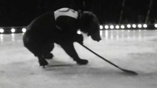 Hokejová sezóna začala přátelským zápasem medvědů