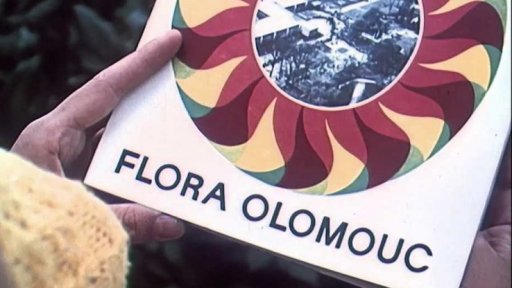 Podzimní Flora v Olomouci