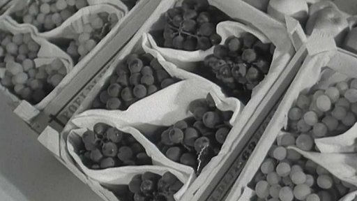 Výstava Interfruct 69