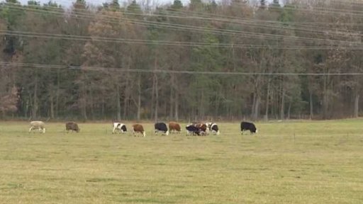 Vrácení dotací pro zemdělce?