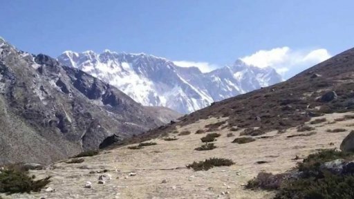 Vegetace v okolí Mount Everestu