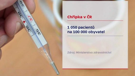 Česko by mohla zasáhnout chřipková epidemie