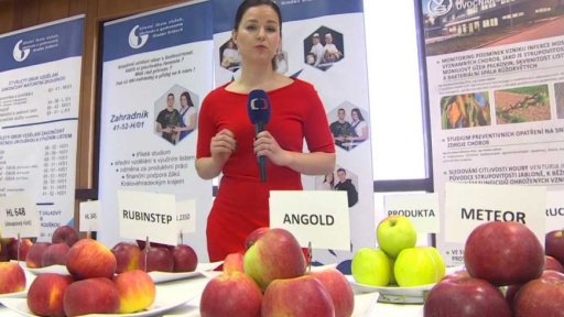 Slabá sklizeň ovoce