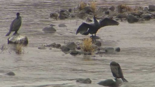 Nově chráněné lokality v Česku