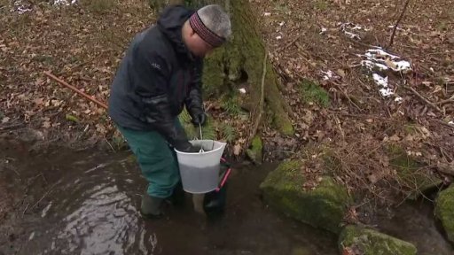 Úbytek vodních živočichů kvůli suchu