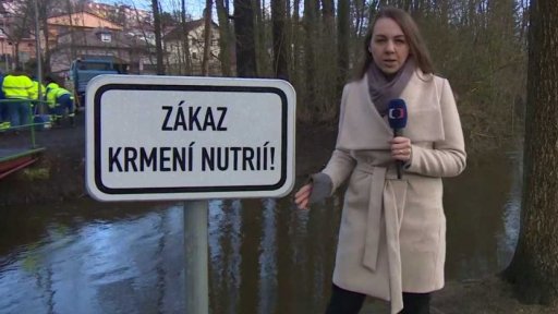 Strach dětí ze školky z nutrií