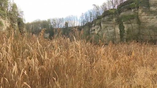 Jak ochránit půdu na polích