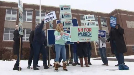 Demokratické primárky