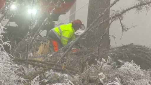 Škody v lesích po orkánu Sabina
