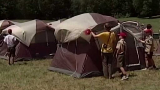 Skauti a ochrana před bankrotem