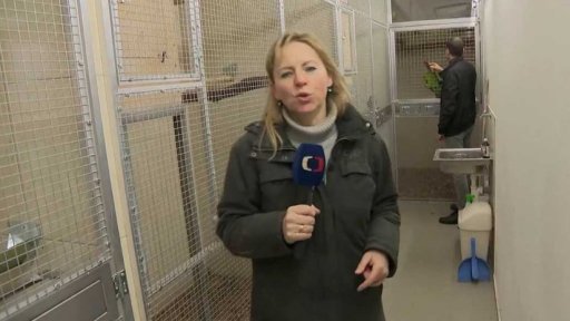 Pojištění zvířat proti nákaze