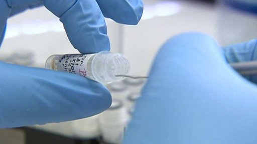 Přípravy Česka na koronavirus