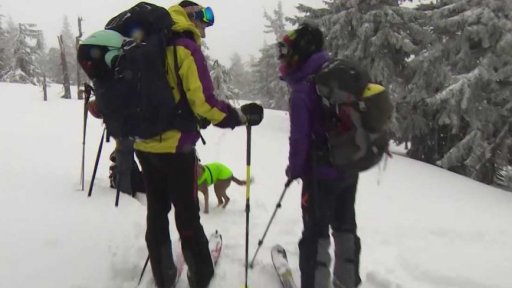 Skialpinismus v Česku