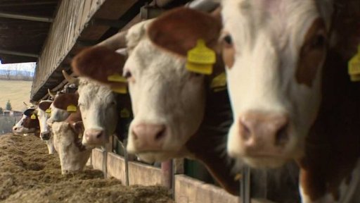 Pomoc farmářům a potravinářům