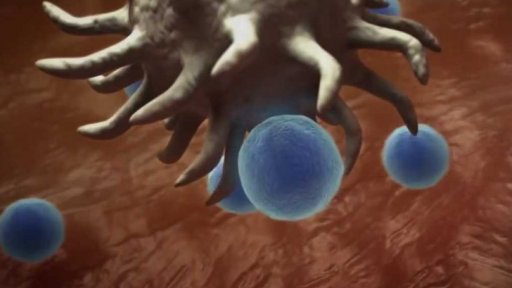 Co dělá virus v těle