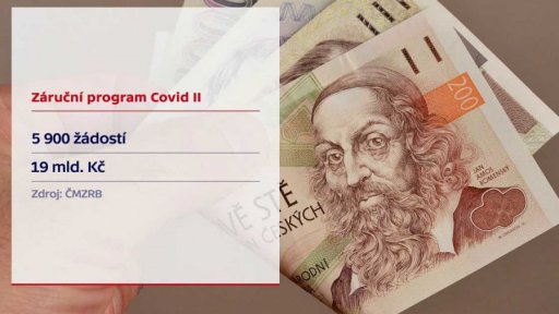 Program na pomoc firmám