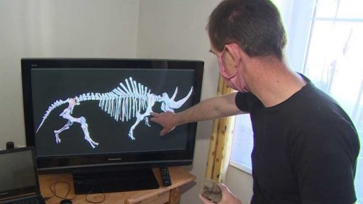 Pravěká zvířata na Táborsku