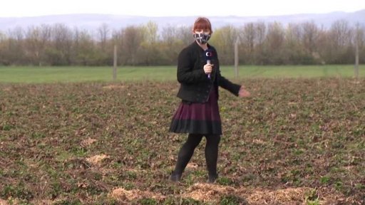 Chybí sezonní pracovníci