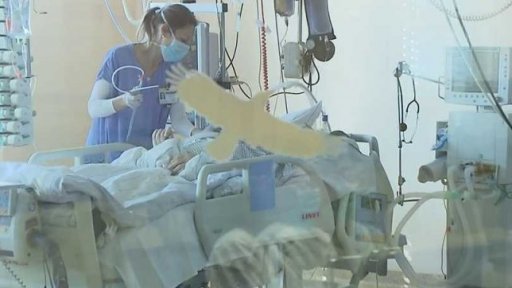 Hledání léku na koronavirus