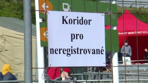 Plošné testování na koronavirus