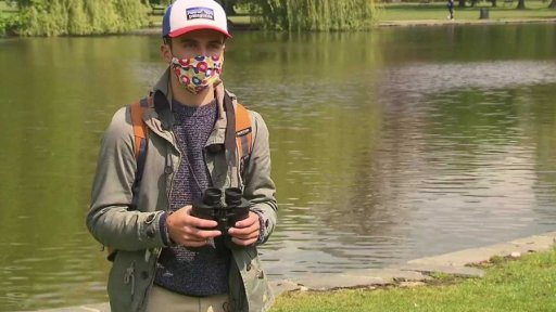 Do přírody za ptačím zpěvem