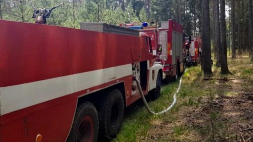 Požár lesa v Ralsku