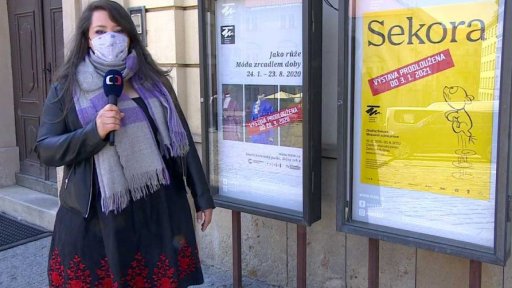 Mezinárodní den muzeí