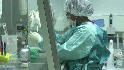 Testování antimalarik proti covidu-19