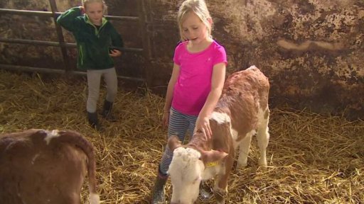 Škody farmářů po bouřce