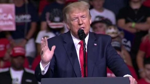 Předvolební kampaň D. Trumpa