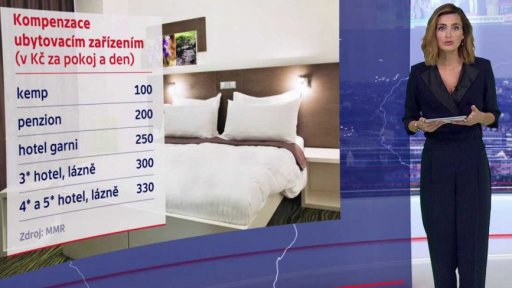 Vláda o pomoci ekonomice