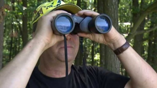 Dohled nad závody motocyklů