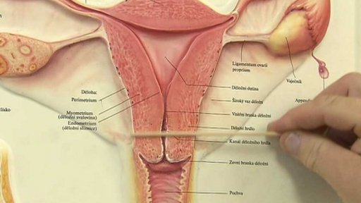 Testy na rakovinu děložního čípku