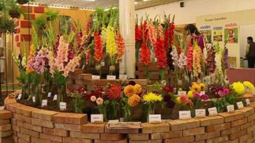 Výstava Flora Olomouc