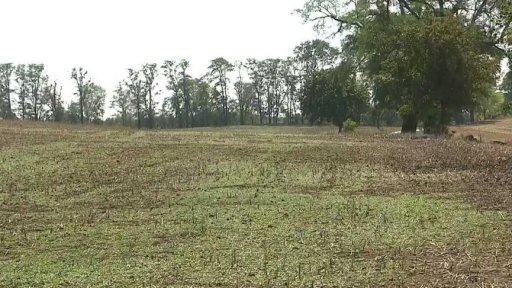 Nařízení o mimořádném použití jedu na hraboše