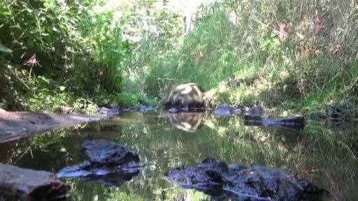 Zákaz čerpání vody