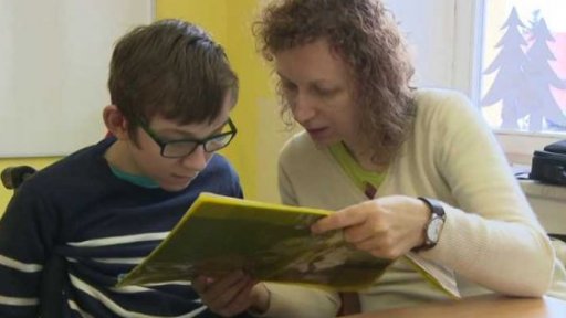 Asistenti ve školách