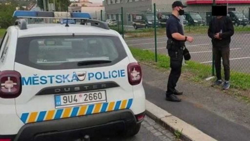 Nelegální migrace v ČR