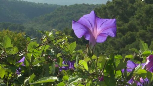 Výstava fotografií Kateřiny Brunclíkové v Praze
