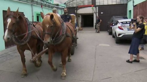 Připrava expozice Unplugged