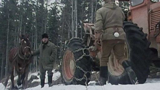 Vzpomínka na Mrkvičku