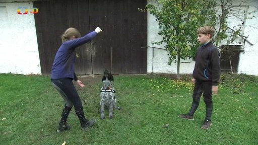 Téma týdne - aktivity venku