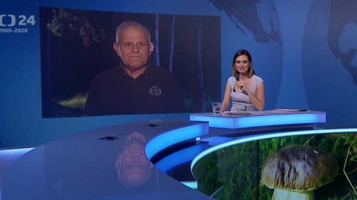 Příroda: Houby jako vášeň