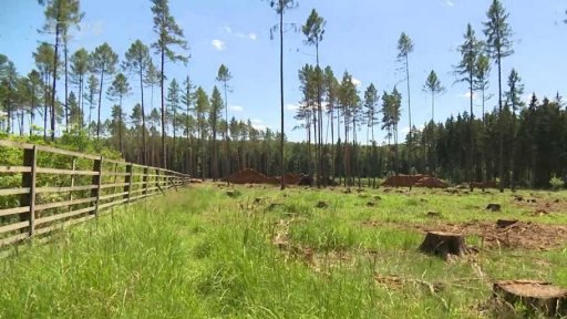 Reportáž dne: Zakázky Lesní správy Lány